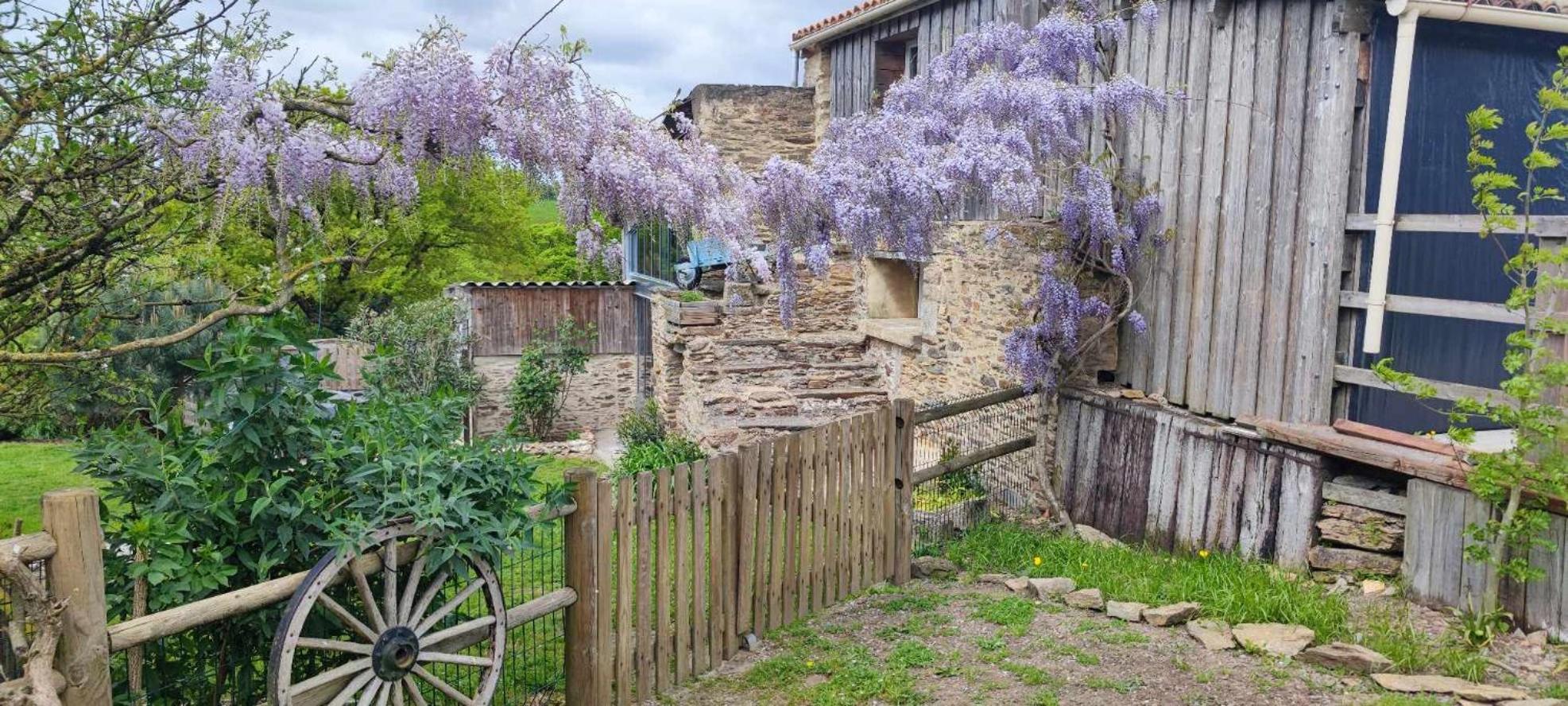 Aux Yourtes De La Fabrique Saint-Florent-des-Bois Zewnętrze zdjęcie